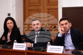 Народно събрание - БФС - протест - комисия