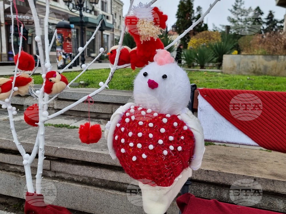 Видин - Баба Марта - ден на самодееца