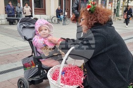 Видин - Баба Марта - ден на самодееца