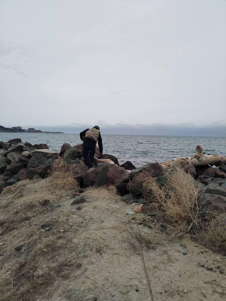 Министерство на отбраната: Военнослужещи от ВМС унищожиха невзривен боеприпас