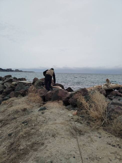 Министерство на отбраната: Военнослужещи от ВМС унищожиха невзривен боеприпас
