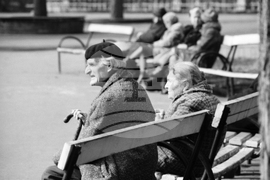 Пролетно настроение в парка