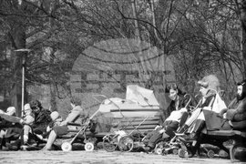 Пролетно настроение в парка