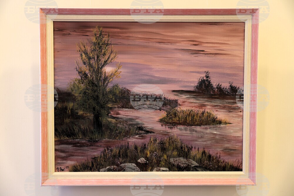 Благоевград - Румяна Ангелакова - изложба