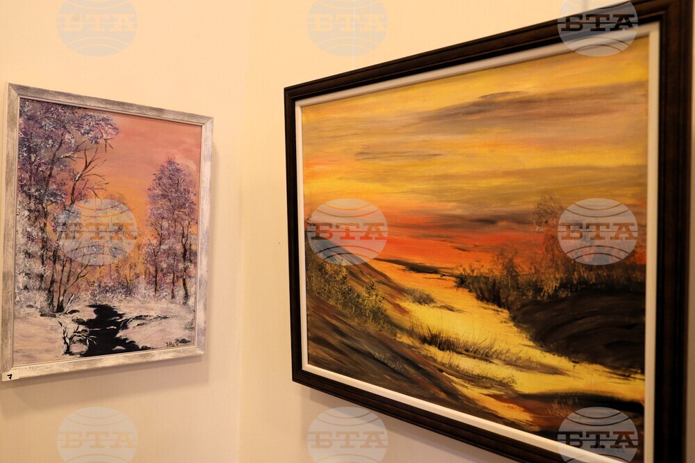 Благоевград - Румяна Ангелакова - изложба