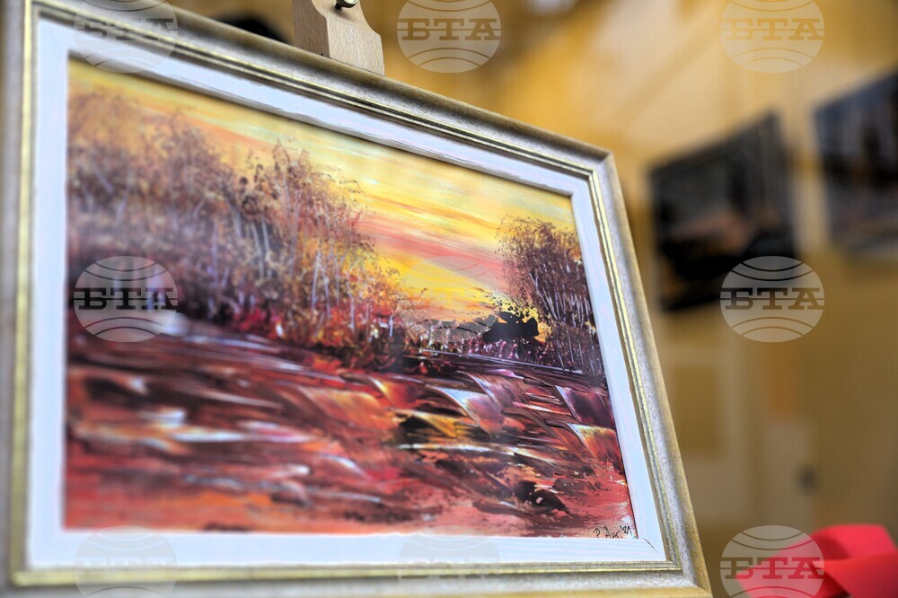 Благоевград - Румяна Ангелакова - изложба