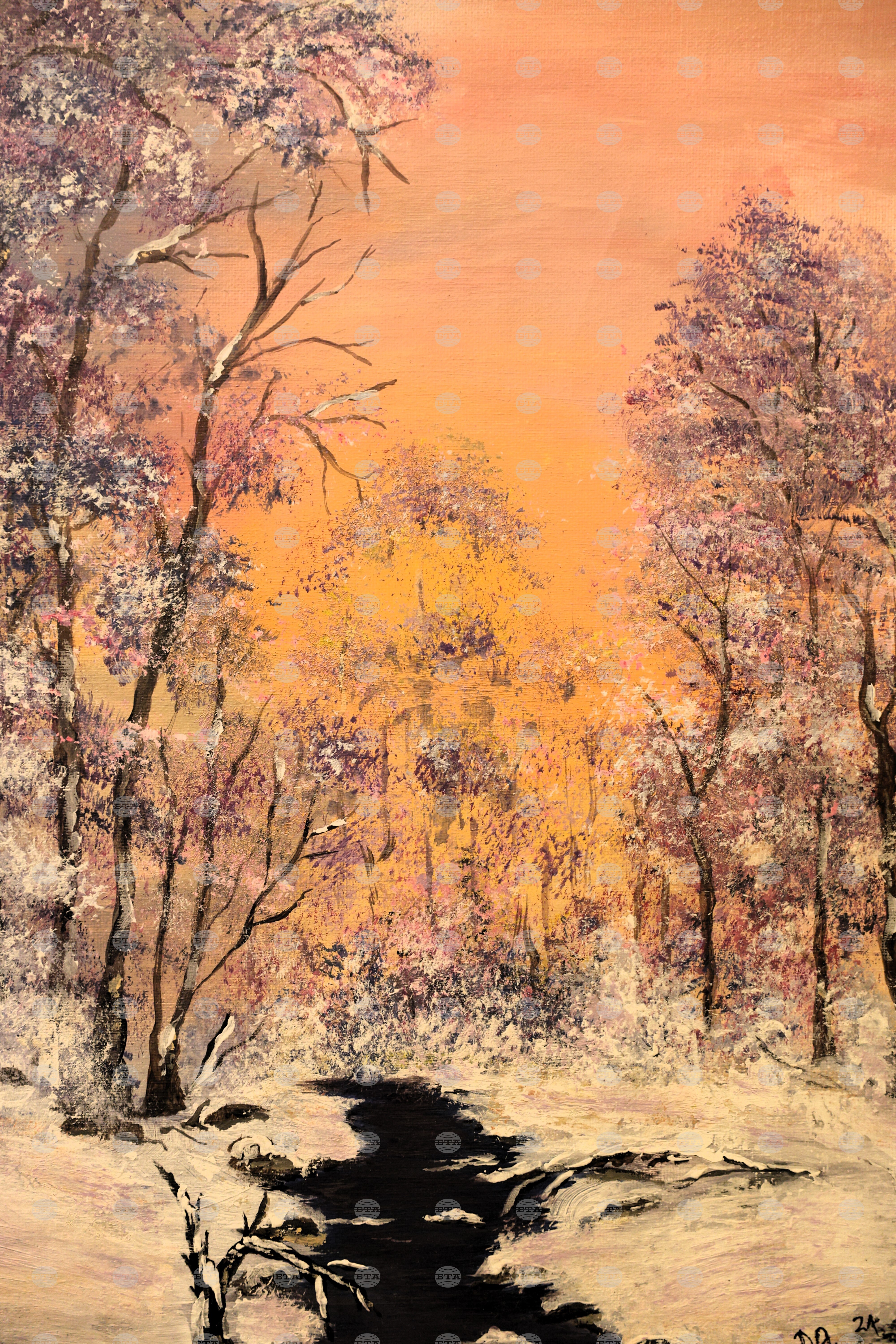 Благоевград - Румяна Ангелакова - изложба