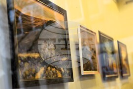 Благоевград - Румяна Ангелакова - изложба