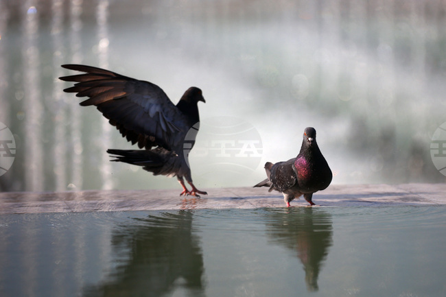 Топло време