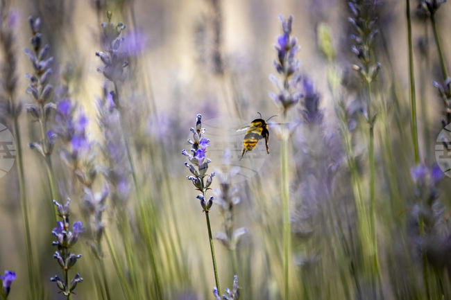 Прогноза за времето 