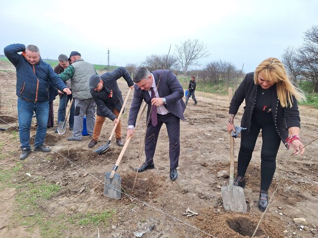 Областният управител на област Разград участва в залесяване край село Киченица