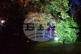 Благоевград - видеонаблюдение - вандалски прояви