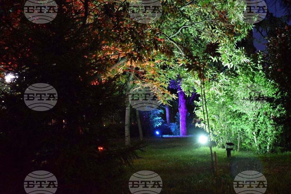 Благоевград - видеонаблюдение - вандалски прояви