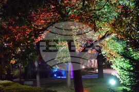 Благоевград - видеонаблюдение - вандалски прояви