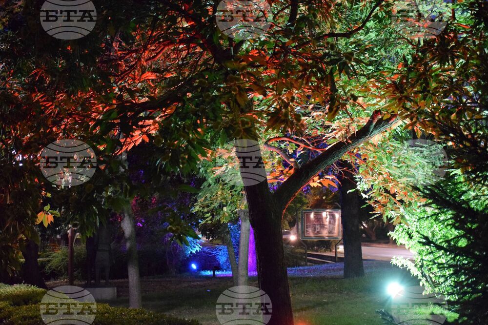 Благоевград - видеонаблюдение - вандалски прояви