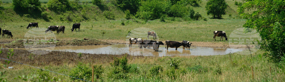 Град Завет - юлски горещини