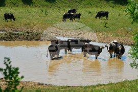 Град Завет - юлски горещини
