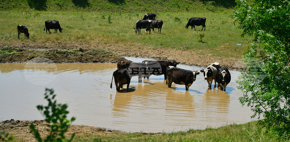 Град Завет - юлски горещини