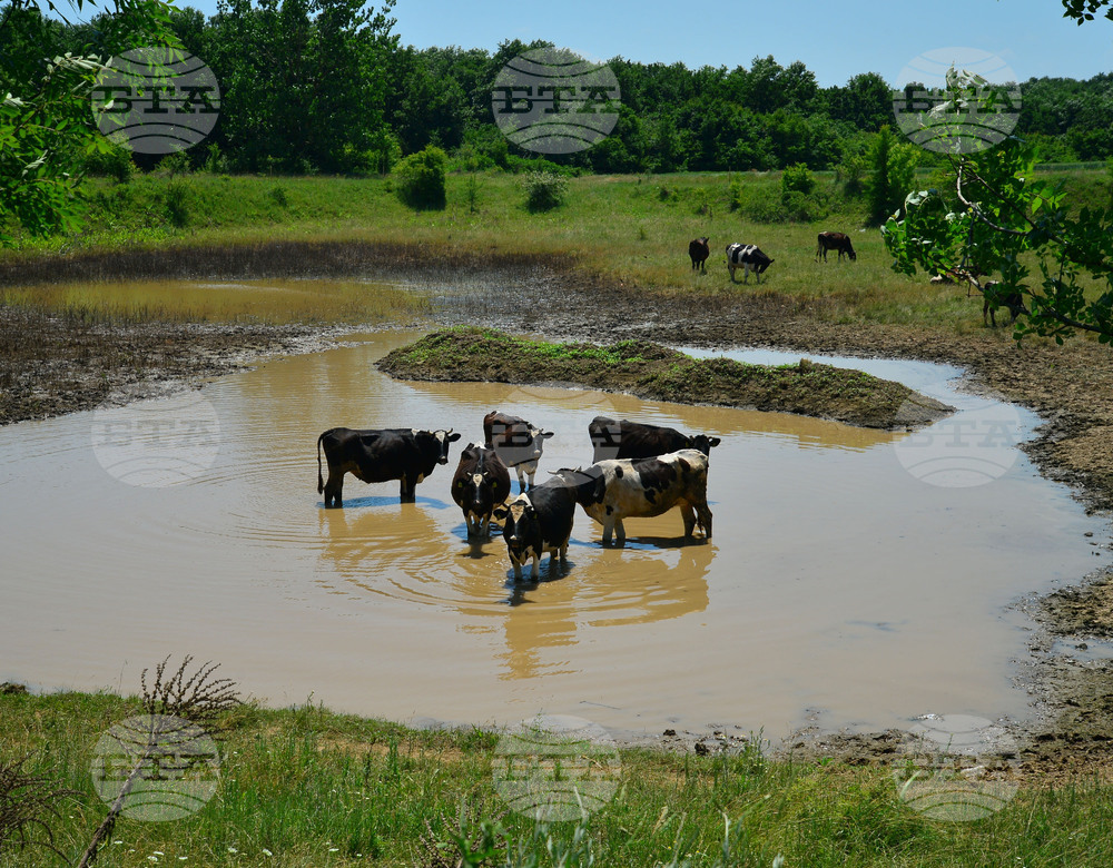 Град Завет - юлски горещини