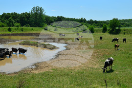 Град Завет - юлски горещини
