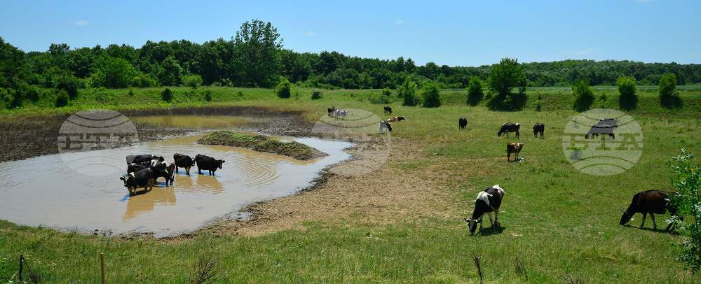 Град Завет - юлски горещини