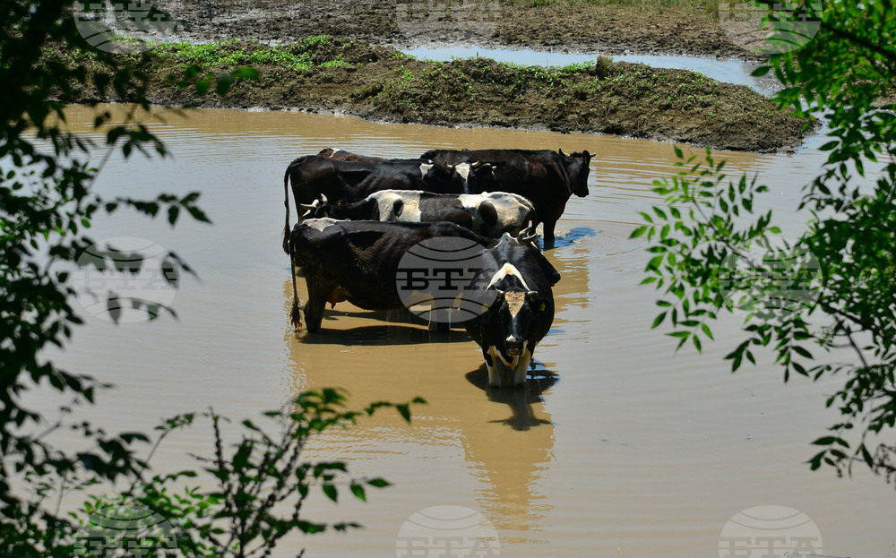 Град Завет - юлски горещини