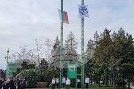 Видин - Трети март - честване