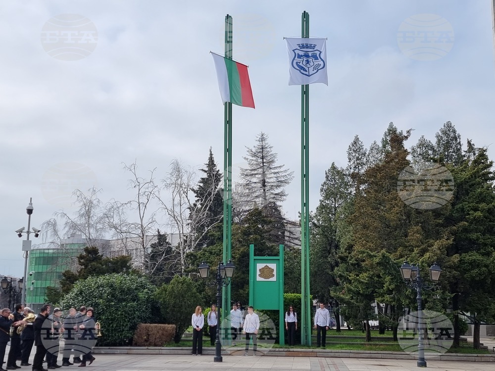 Видин - Трети март - честване