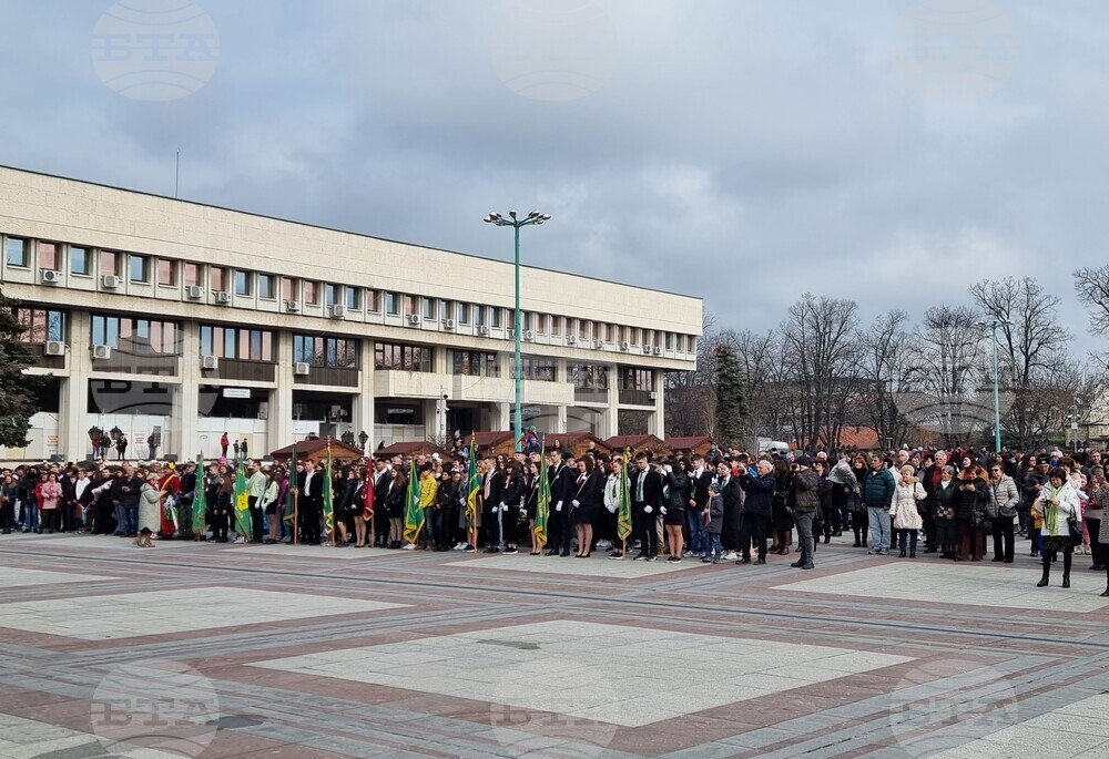 Видин - Трети март - честване