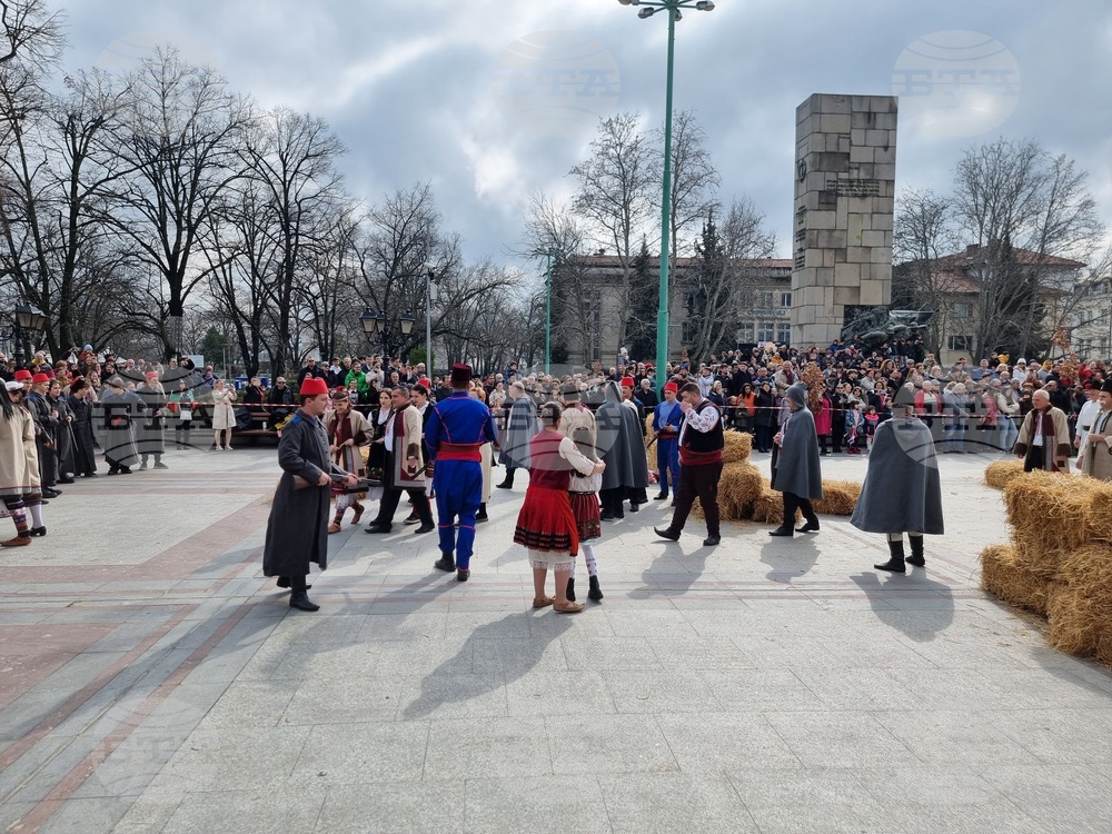 Видин - Трети март - честване