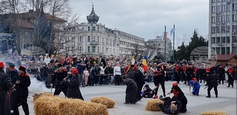 Видин - Трети март - честване