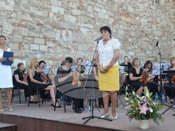 Снимка: Община Видин