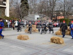 Снимка: Община Видин