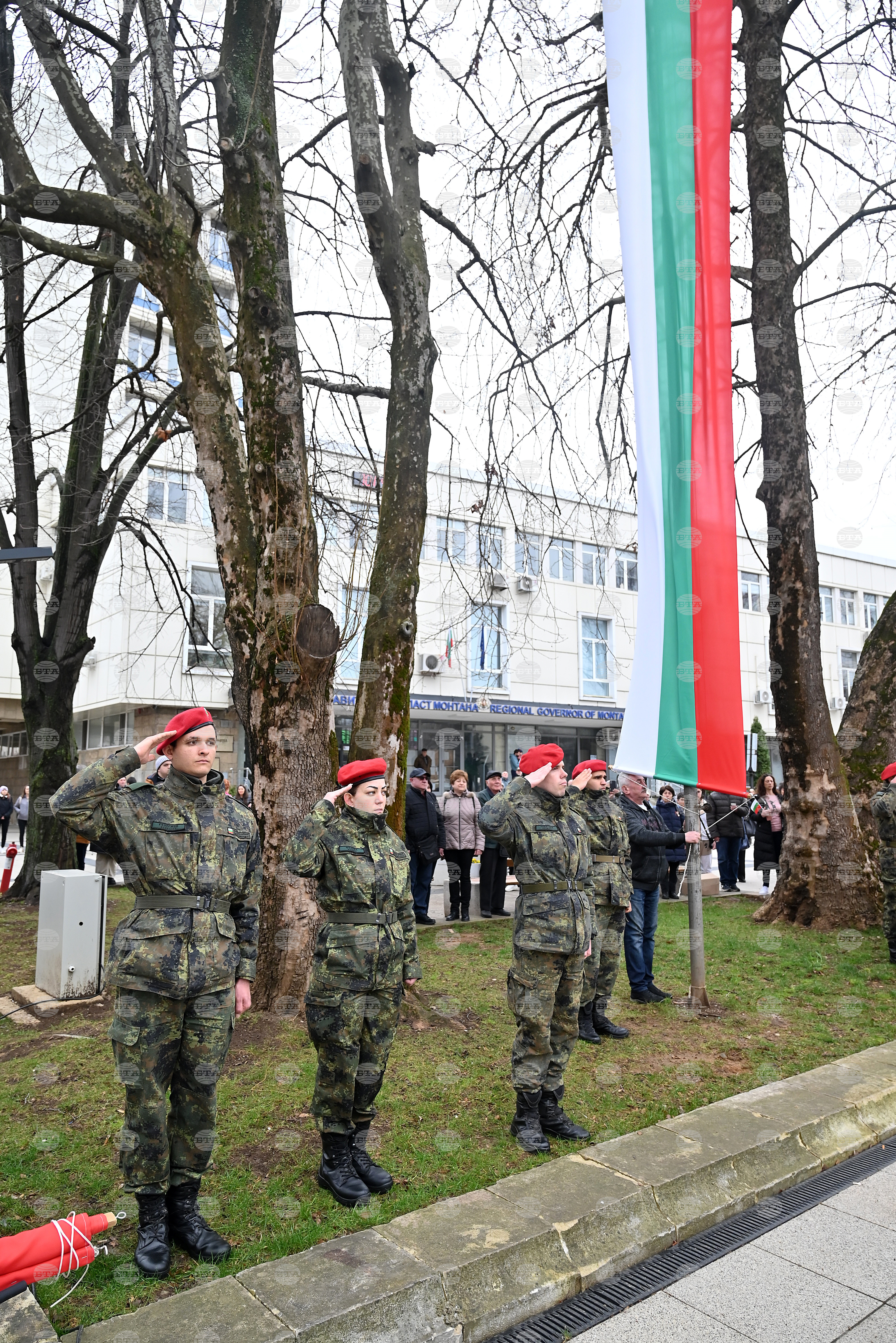 Монтана - Трети март - честване