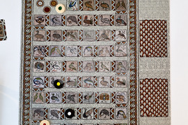 Пловдив - представяне на настолна игра “100 птици”