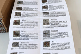 Пловдив - представяне на настолна игра “100 птици”