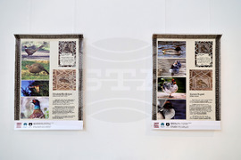 Пловдив - представяне на настолна игра “100 птици”