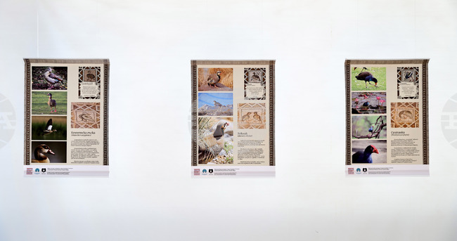 Пловдив - представяне на настолна игра “100 птици”