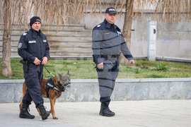 Бургас - полицейски патрули с куче