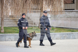 Бургас - полицейски патрули с куче