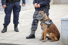 Бургас - полицейски патрули с куче