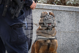 Бургас - полицейски патрули с куче