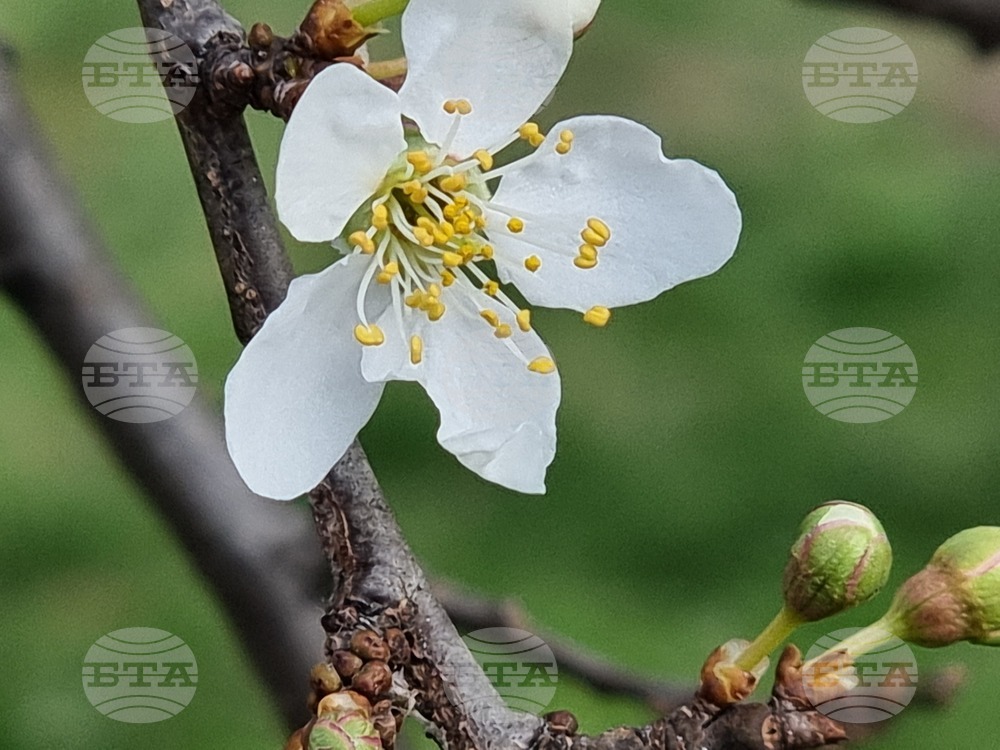Прогноза за времето 