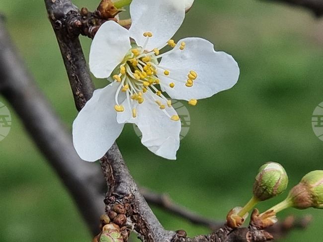 Прогноза за времето 