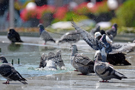 Варна - горещини