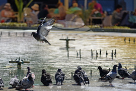 Варна - горещини