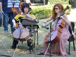 Снимка: Община Видин