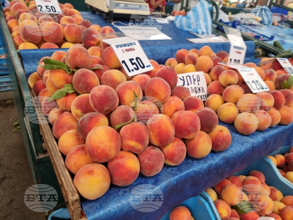Food Market Index Up by 0.32% in Week