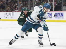 Sharks Wild Hockey