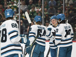 Sharks Wild Hockey